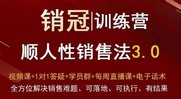 爆款！销冠训练营3.0之顺人性销售法，全方位解决销售难题、可落地、可执行、有结果-瀚宇网创