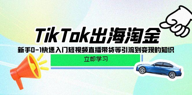 (10035期)TikTok-出海淘金，新手0-1快速入门短视频直播带货等引流到变现的知识-瀚宇网创