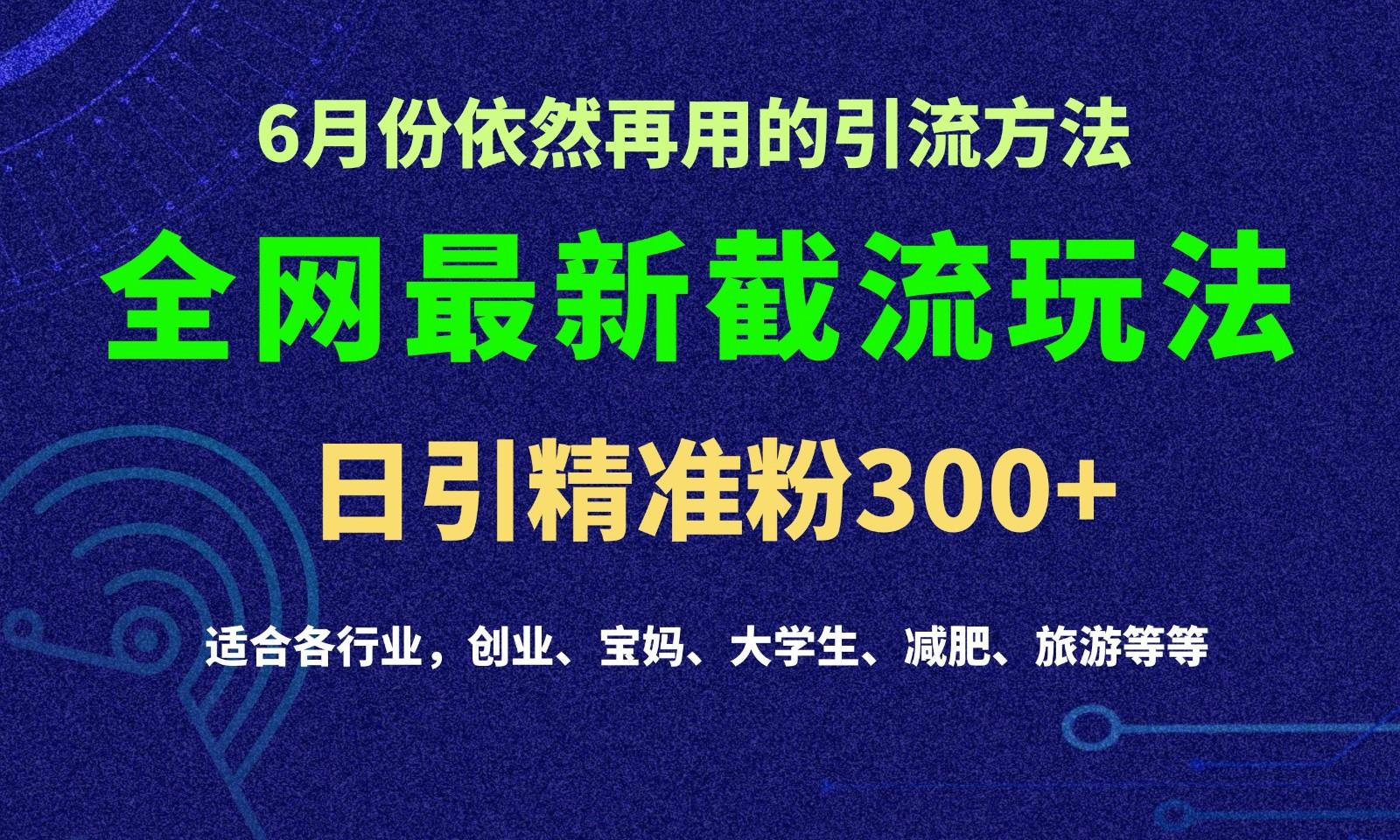 2024全网最新截留玩法,每日引流突破300+-瀚宇网创