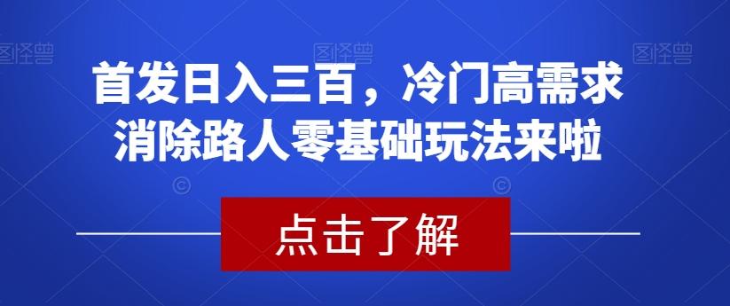 首发日入三百,冷门高需求消除路人零基础玩法来啦【揭秘】-瀚宇网创