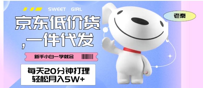 每天20分钟打理京东低价货，一件代发-轻松月入5W＋-瀚宇网创