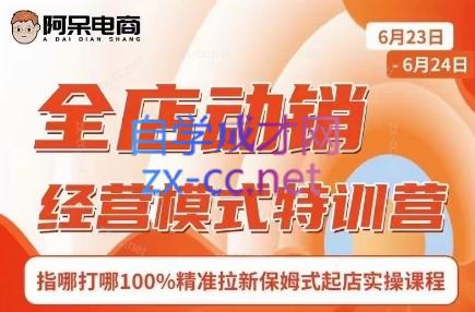 阿呆电商·全店动销经营模式特训营(线下录音+思维导图)-瀚宇网创