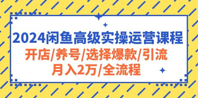 2024闲鱼高级实操运营课程:开店/养号/选择爆款/引流/月入2万/全流程-瀚宇网创