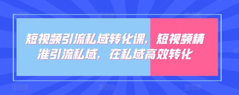 短视频引流私域转化课，短视频精准引流私域，在私域高效转化-瀚宇网创