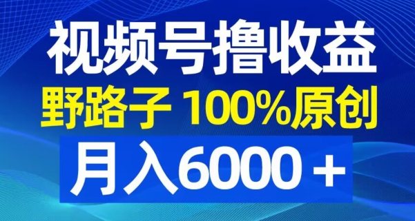 视频号野路子撸收益，100%原创，条条爆款，月入6000＋【揭秘】-瀚宇网创