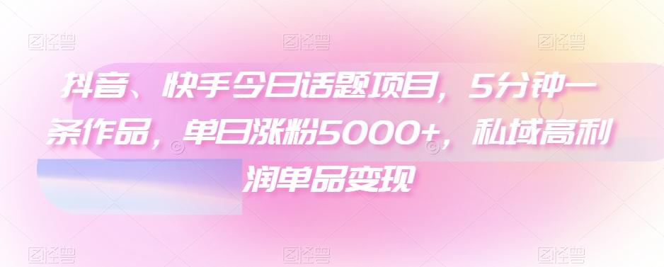 抖音、快手今日话题项目，5分钟一条作品，单日涨粉5000+，私域高利润单品变现-瀚宇网创