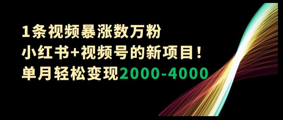 1条视频暴涨数万粉–小红书+视频号的新项目！单月轻松变现2000-4000【揭秘】-瀚宇网创