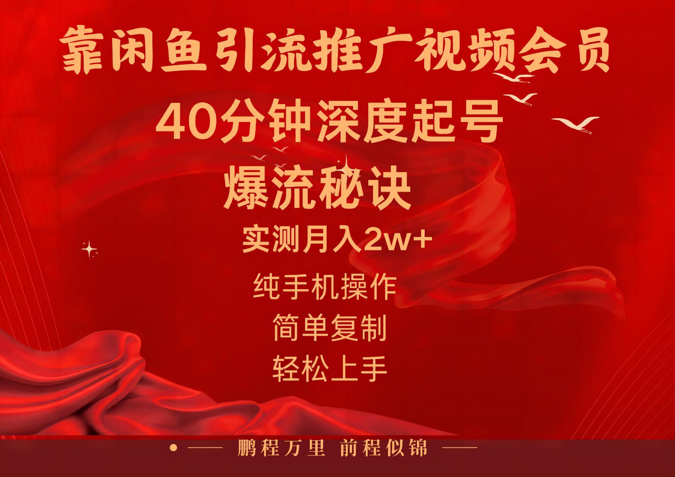 闲鱼暴力引流推广视频会员,能做到日入2W+,操作简单-瀚宇网创