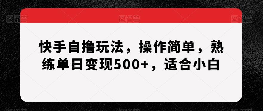 快手自撸玩法，操作简单，熟练单日变现500+，适合小白【揭秘】-瀚宇网创