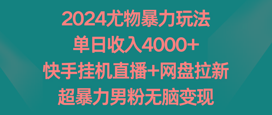 2024尤物暴力玩法 单日收入4000+快手挂机直播+网盘拉新 超暴力男粉无脑变现-瀚宇网创