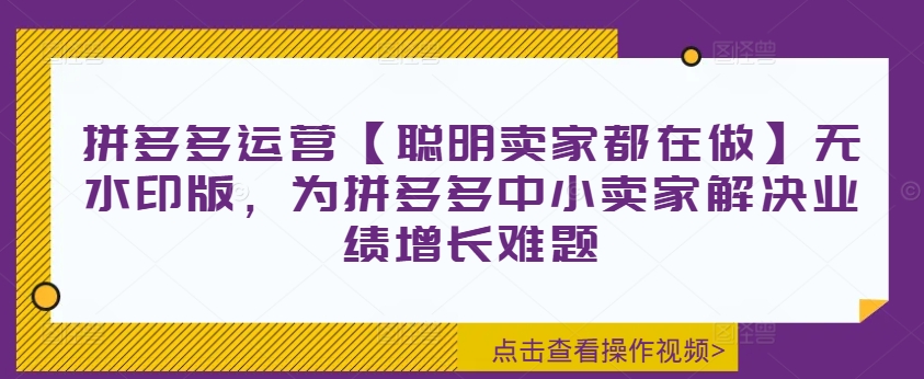 拼多多运营【聪明卖家都在做】无水印版，为拼多多中小卖家解决业绩增长难题-瀚宇网创
