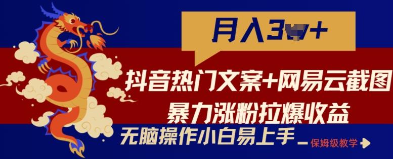 抖音热门文案+网易云截图暴力涨粉拉爆收益玩法，小白无脑操作，简单易上手【揭秘】-瀚宇网创