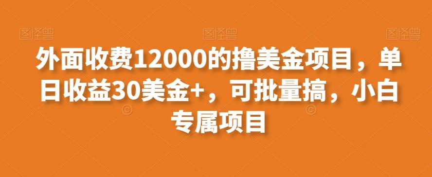 外面收费12000的撸美金项目，单日收益30美金+，可批量搞，小白专属项目-瀚宇网创