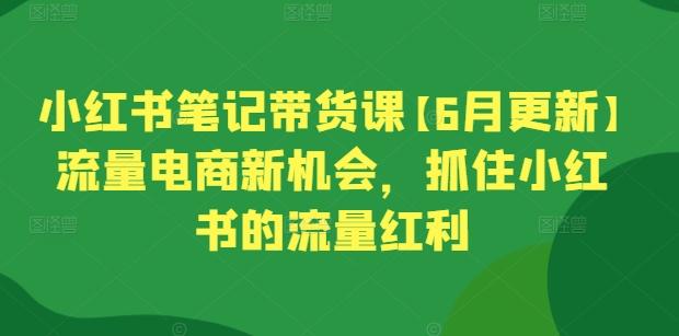 小红书笔记带货课【6月更新】流量电商新机会,抓住小红书的流量红利-瀚宇网创