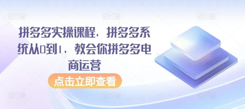 拼多多实操课程，拼多多系统从0到1，教会你拼多多电商运营-瀚宇网创