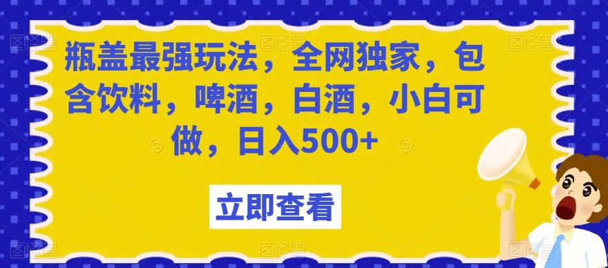 瓶盖最强玩法，全网独家，包含饮料，啤酒，白酒，小白可做，日入500+【揭秘】-瀚宇网创