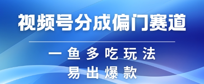视频号创作者分成计划偏门类目，容易爆流，实拍内容简单易做【揭秘】-瀚宇网创