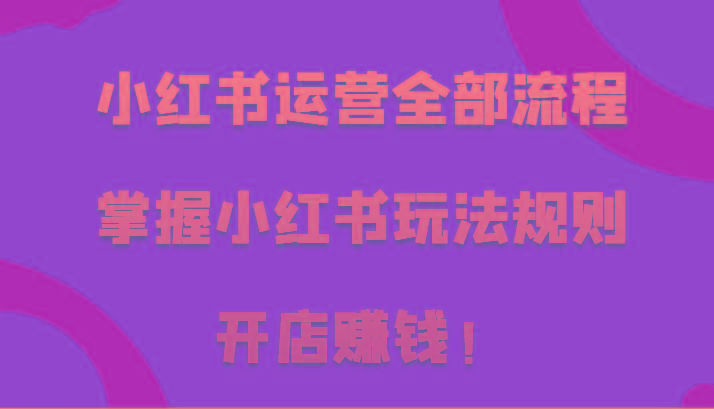 小红书运营全部流程，掌握小红书玩法规则，开店赚钱！-瀚宇网创