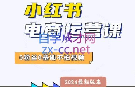 达哥·小红书电商运营(2024版)-瀚宇网创