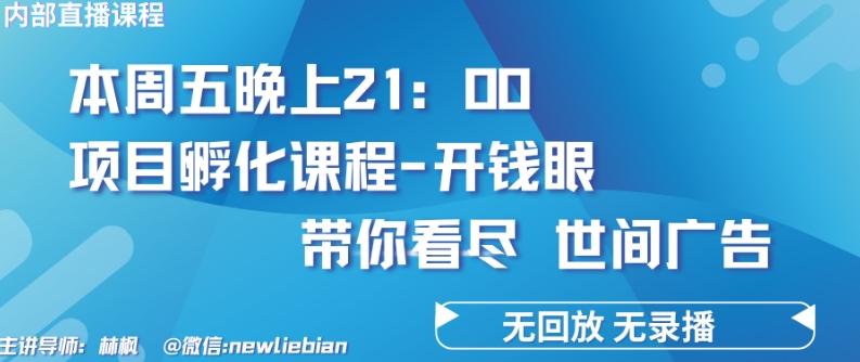 4.26日内部回放课程《项目孵化-开钱眼》赚钱的底层逻辑【揭秘】-瀚宇网创