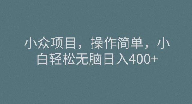 小众项目，操作简单，小白轻松无脑日入400+-瀚宇网创