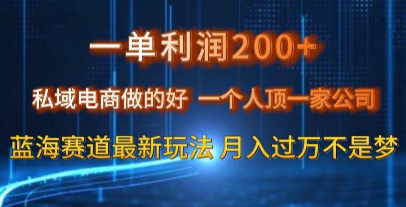 一单利润200私域电商做的好，一个人顶一家公司蓝海赛道最新玩法【揭秘】-瀚宇网创