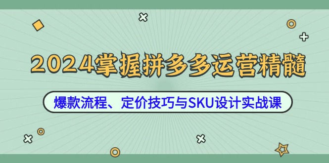 2024掌握拼多多运营精髓:爆款流程、定价技巧与SKU设计实战课-瀚宇网创
