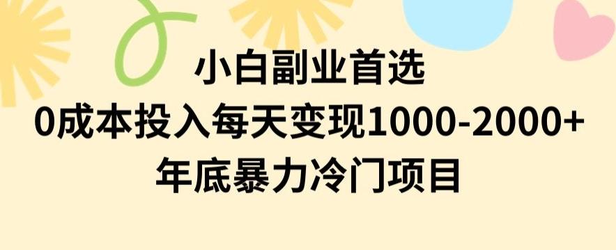 小白副业首选，0成本投入，每天变现1000-2000年底暴力冷门项目【揭秘】-瀚宇网创