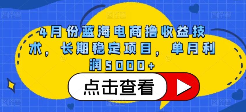 4月份蓝海电商撸收益技术，长期稳定项目，单月利润5000+【揭秘】-瀚宇网创