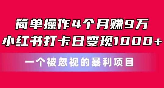 简单操作4个月赚9w，小红书打卡日变现1k，一个被忽视的暴力项目【揭秘】-瀚宇网创