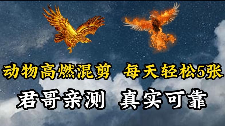 动物超燃混剪，每天轻松5张，剪辑简单大家爱看【揭秘】-瀚宇网创
