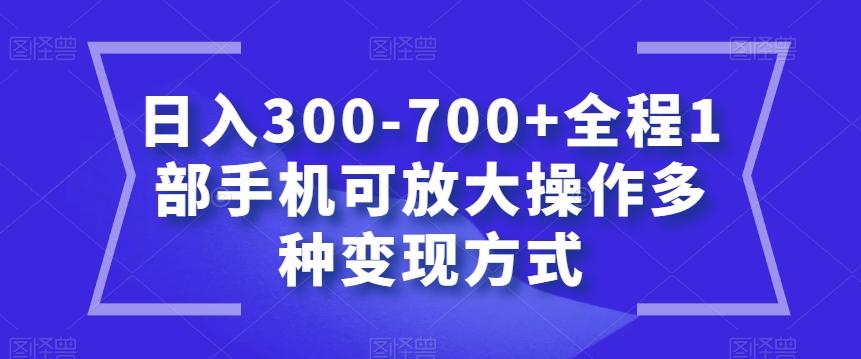 日入300-700+全程1部手机可放大操作多种变现方式【揭秘】-瀚宇网创