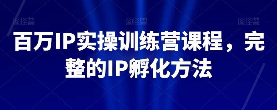 百万IP实操训练营课程，完整的IP孵化方法-瀚宇网创