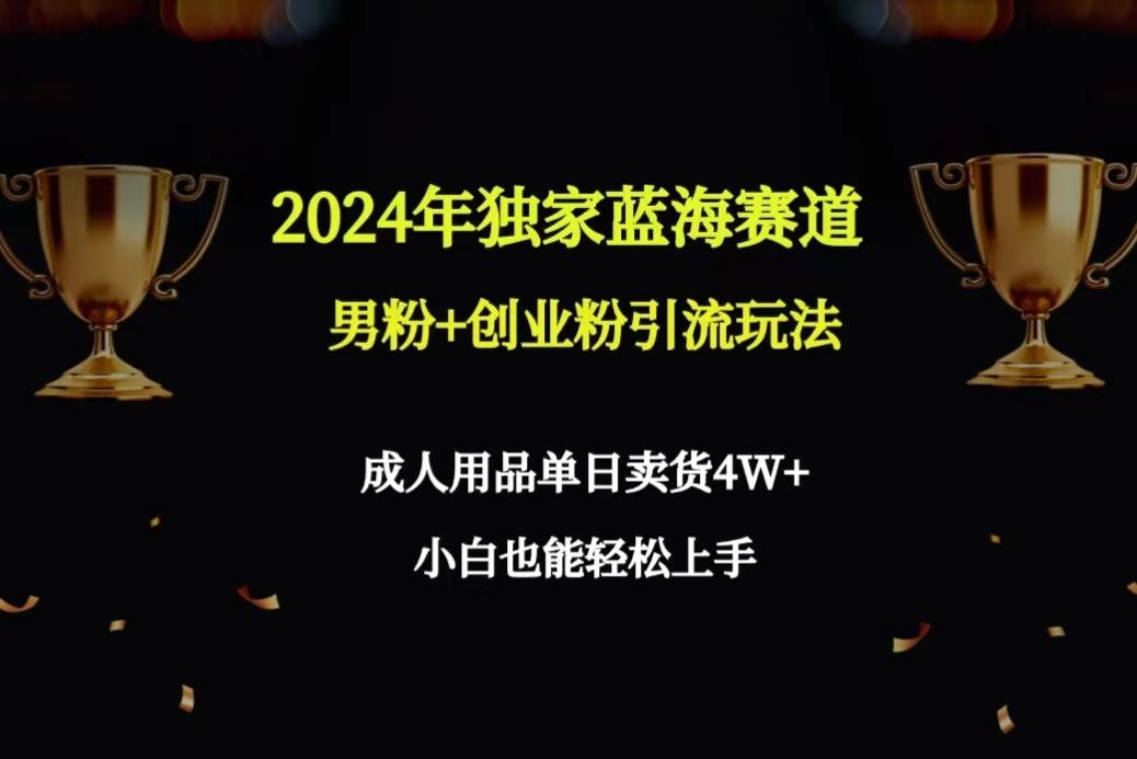 2024年独家蓝海赛道男粉+创业粉引流玩法,成人用品单日卖货4W+保姆教程-瀚宇网创