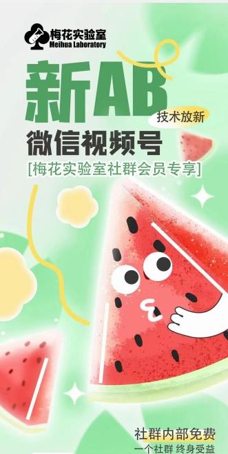 梅花实验室2024年AB技术视频号AB合成破解版-瀚宇网创