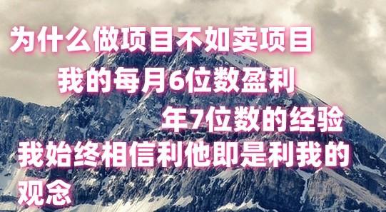 做项目不如卖项目，每月6位数盈利，年7位数经验-瀚宇网创