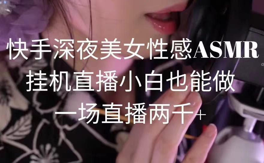 快手深夜美女性感ASMR挂机直播，小白也能做，一场直播两千+-瀚宇网创