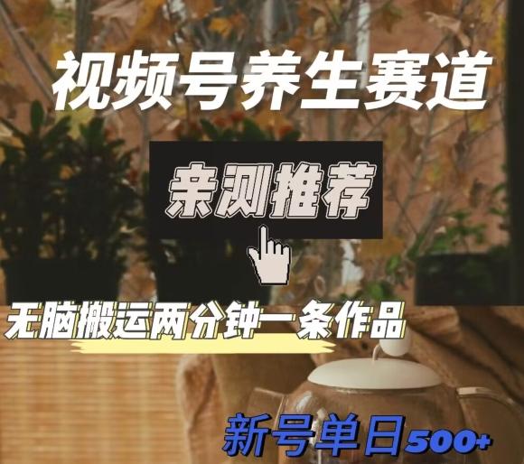 视频号养生赛道暴力掘金，无脑搬运，两分钟一条作品-新日单入500+-瀚宇网创