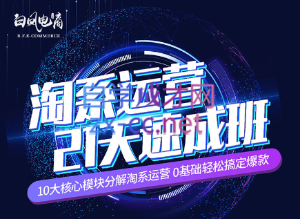 淘系运营21天速成班(更新24年6月)-瀚宇网创