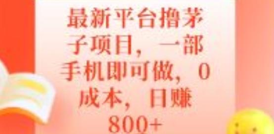 最新平台撸茅子项目，一部手机即可做，0成本，日赚800+-瀚宇网创