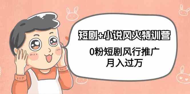 小说+短剧风火特训营，0粉短剧小说风行推广，实现月入过万-瀚宇网创